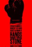 Hands of Stone / 2016年