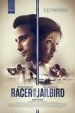 Racer and the Jailbird / 2017年